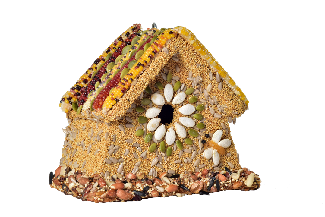 Rustic Wren Bird Seed House