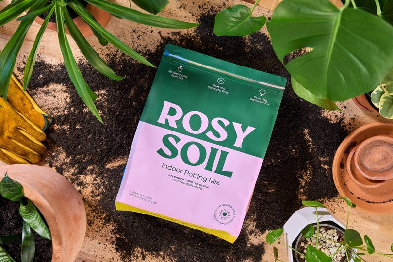 Rosy Soil Indoor Potting Mix