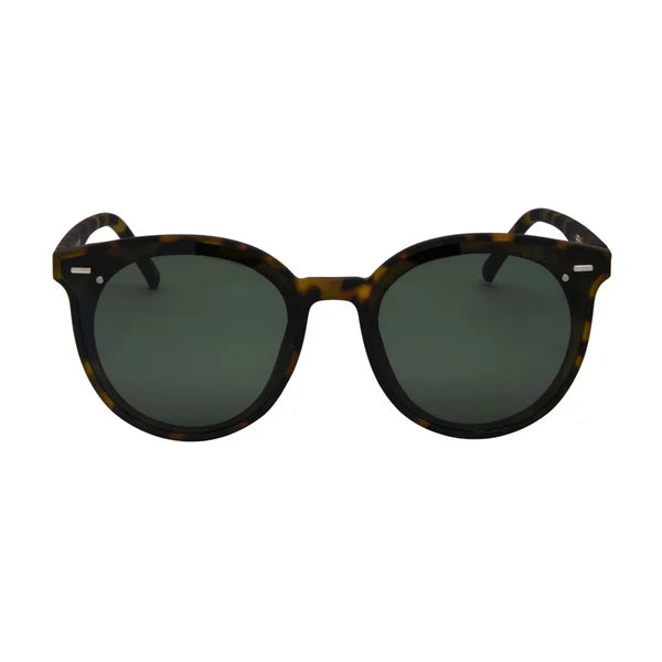 Payton Polarized Lens