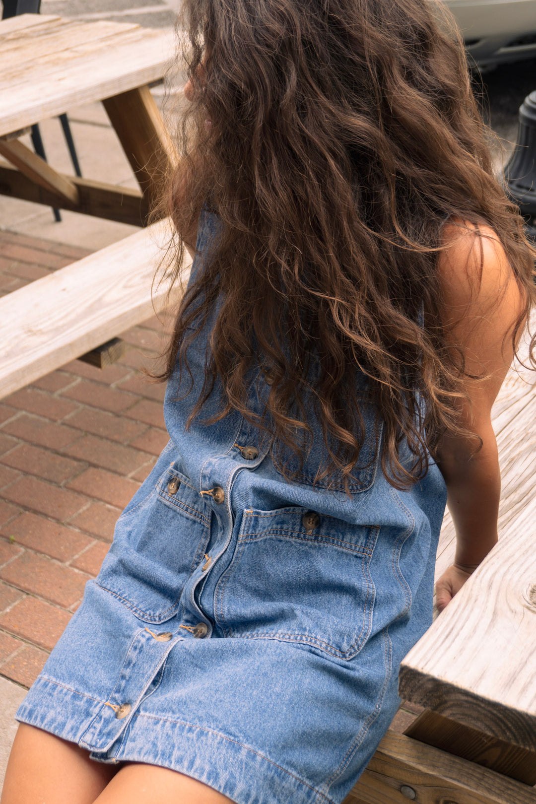 Dutton Denim Dress