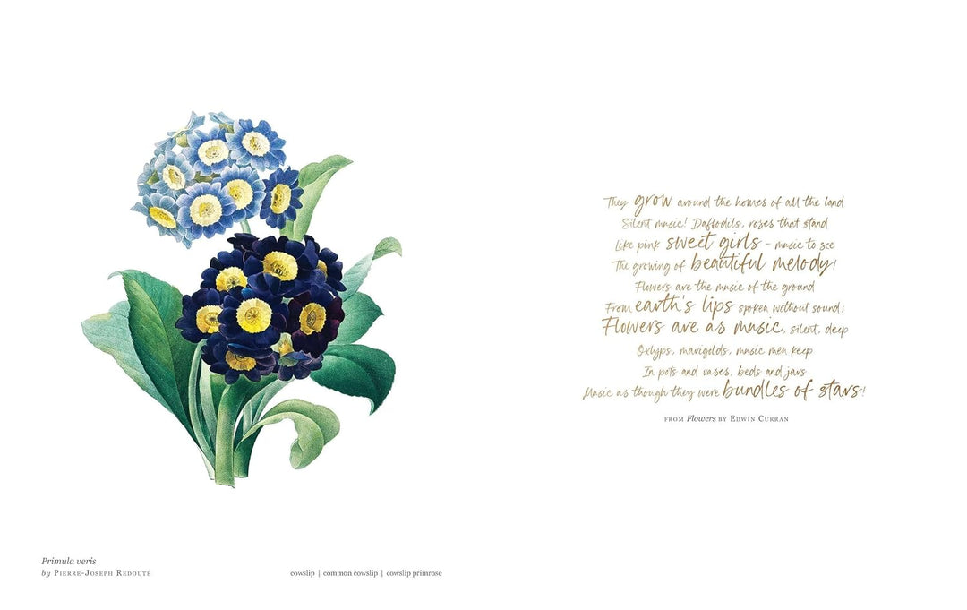 Biblioflora Coffee Table Book