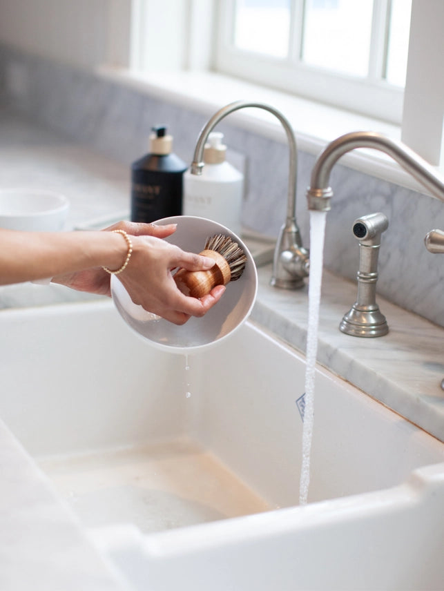 Dish Scrubber