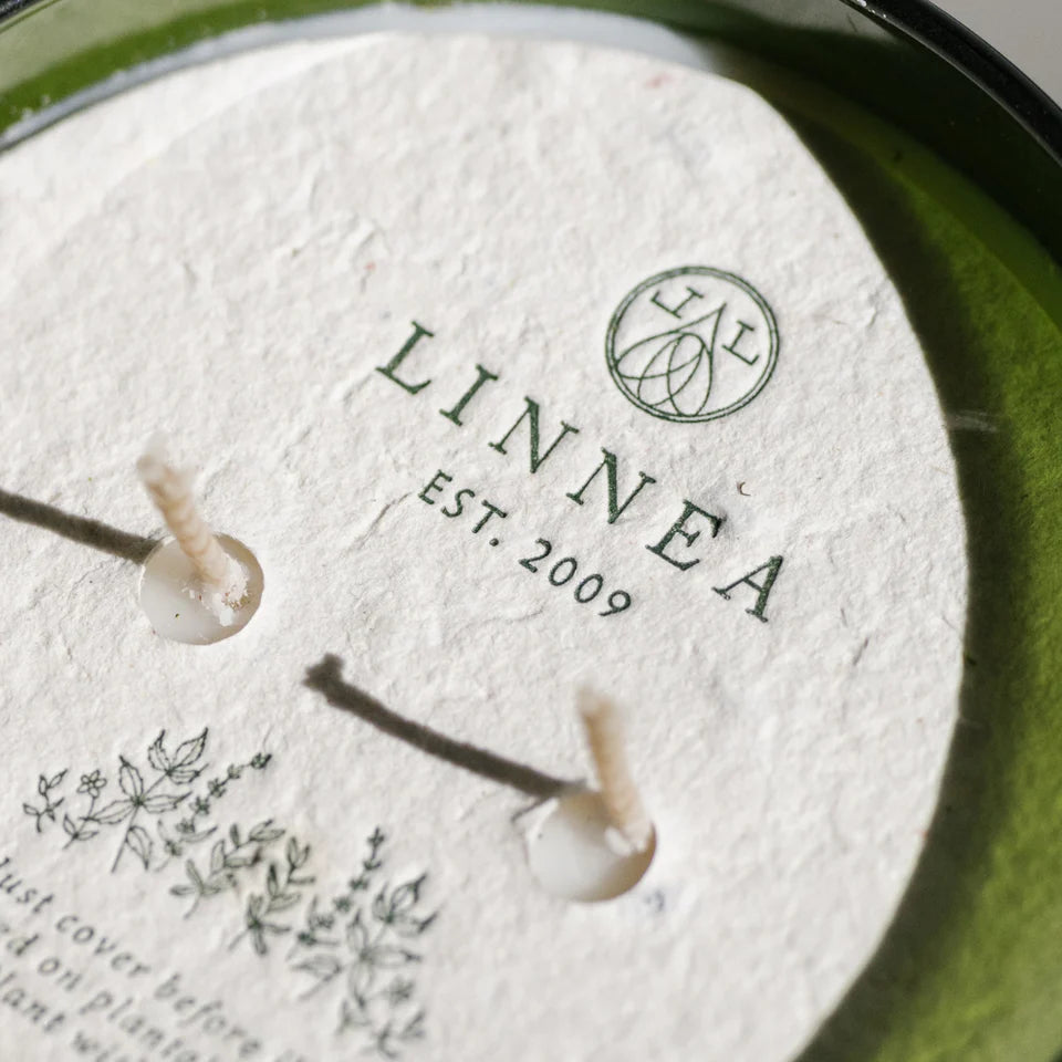 Crushed Mint 2-Wick Candle