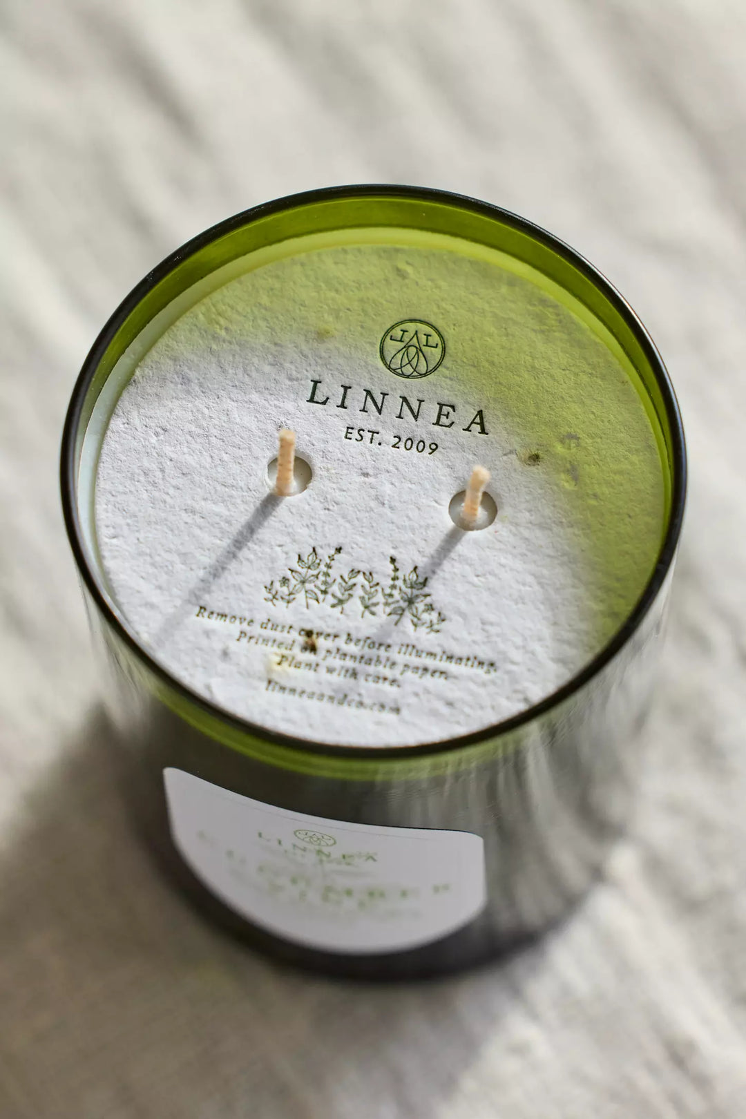 Cucumber Vine 2-Wick Candle