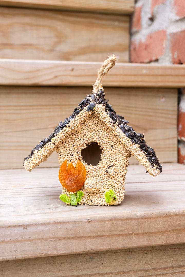 Spring Bird Seed Cottage