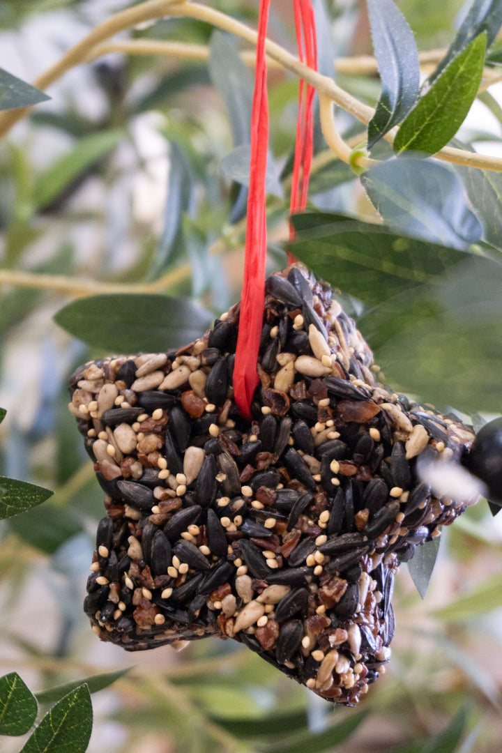 Little Star Birdseed Ornament