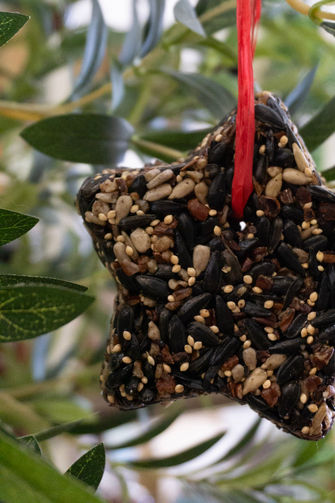 Little Star Birdseed Ornament