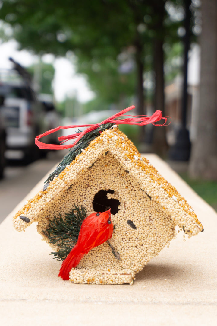 Wren Castia Bird Seed House