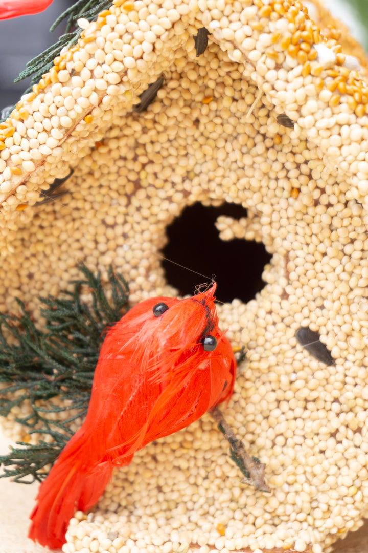 Wren Castia Bird Seed House