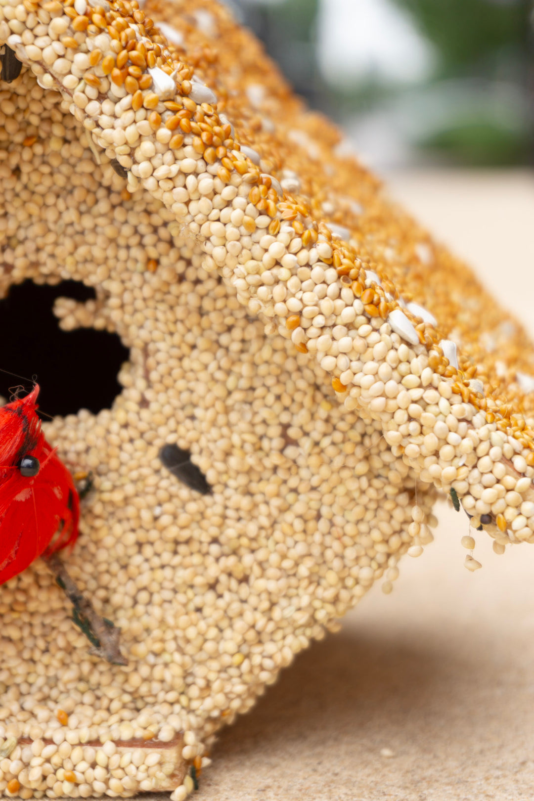 Wren Castia Bird Seed House