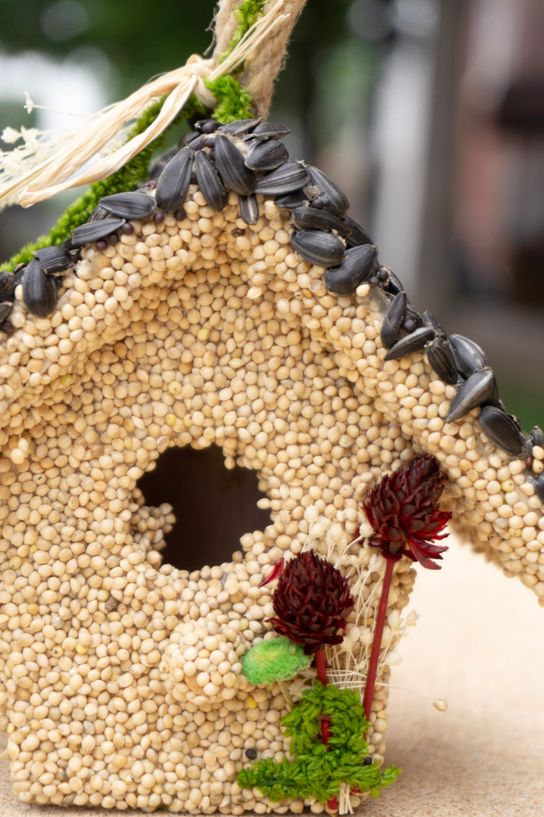 Everyday Bird Seed Cottage