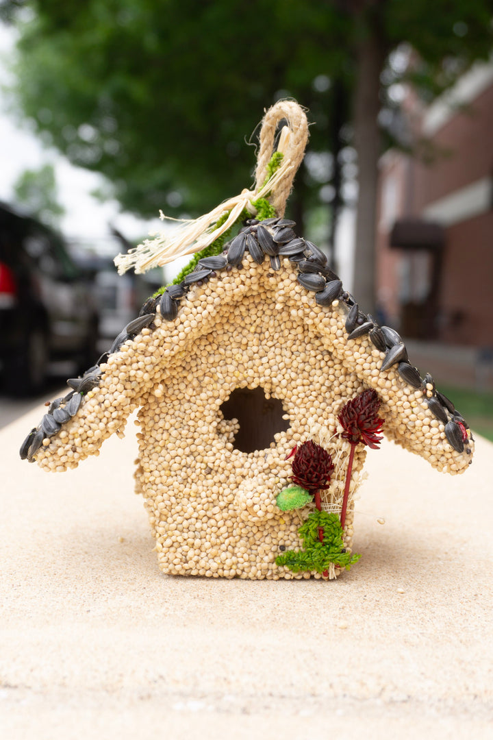 Everyday Bird Seed Cottage