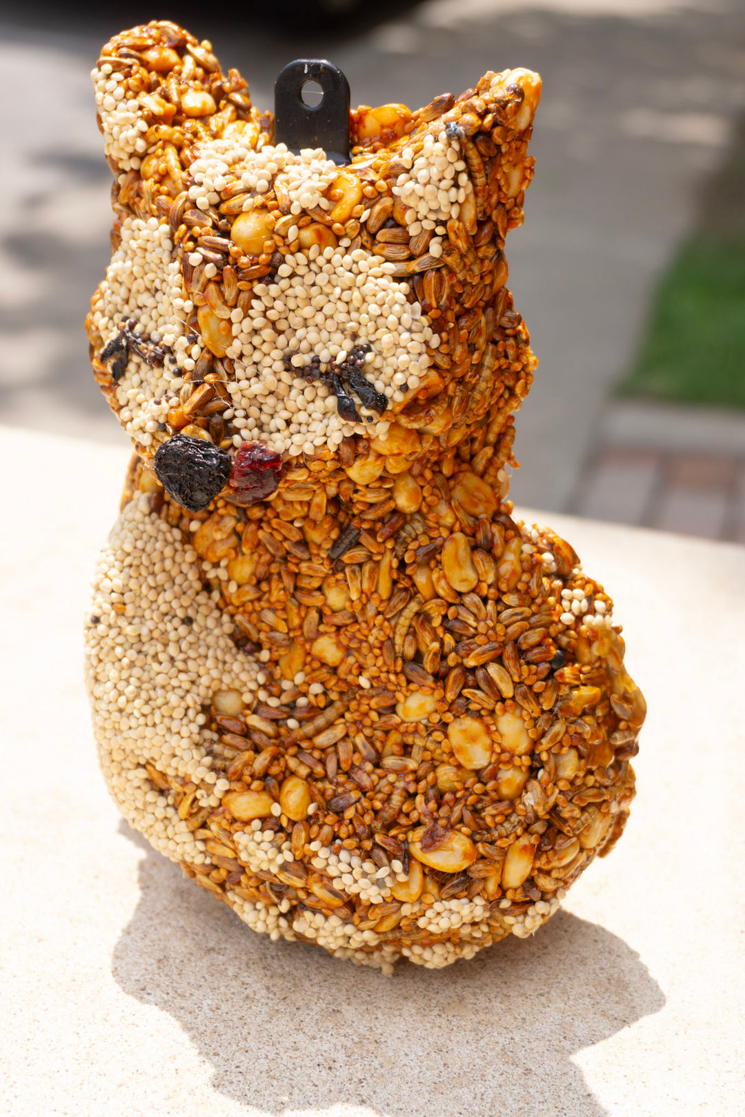 Hot Foxy Bird Feeder