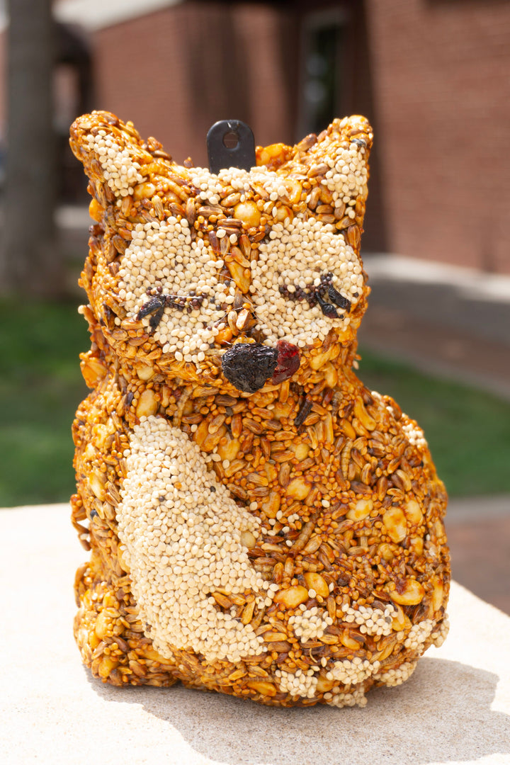 Hot Foxy Bird Feeder