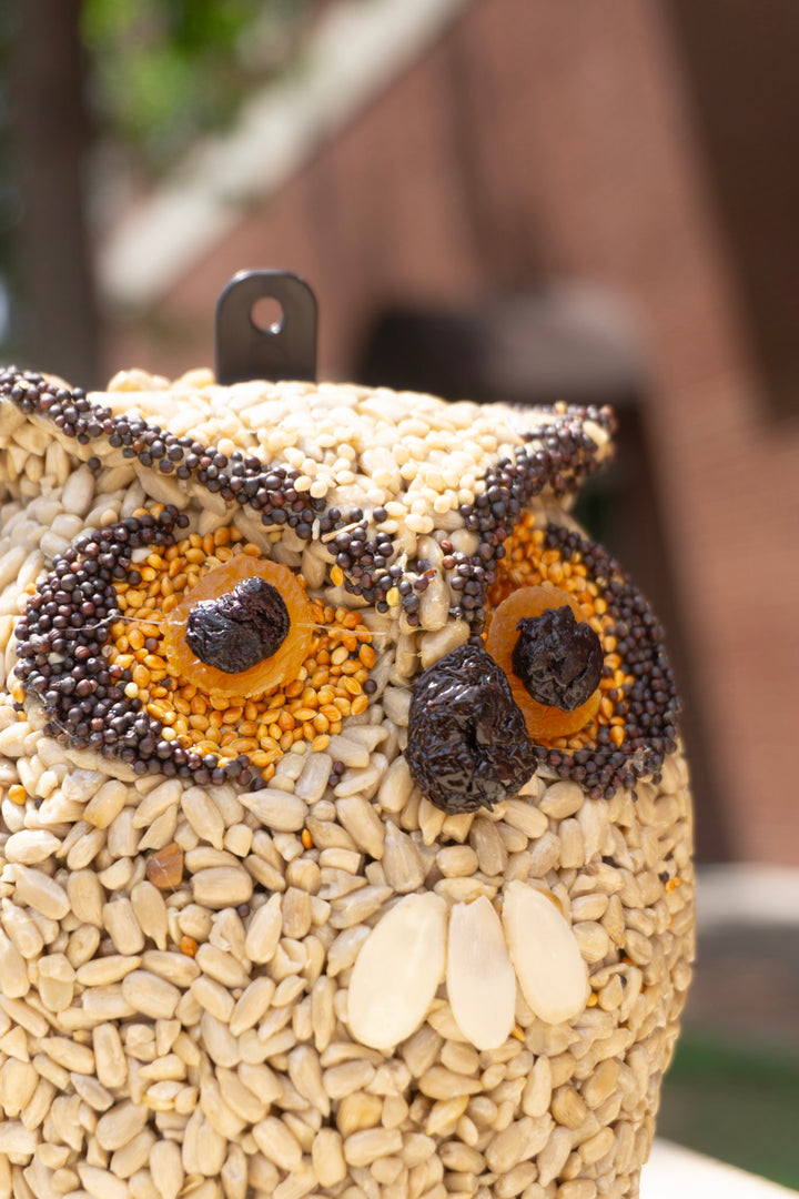 Owl Birdseed Hanger