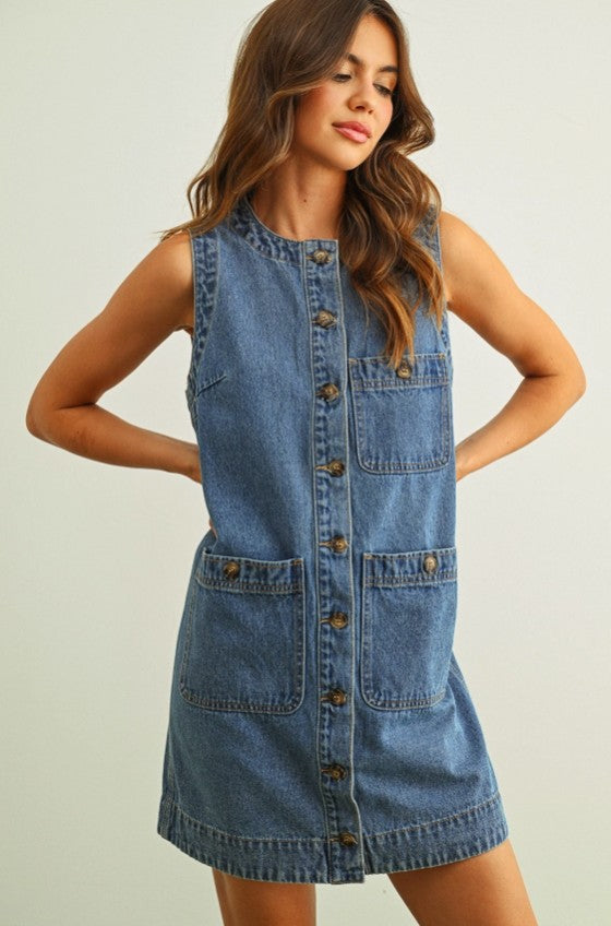 Dutton Denim Dress
