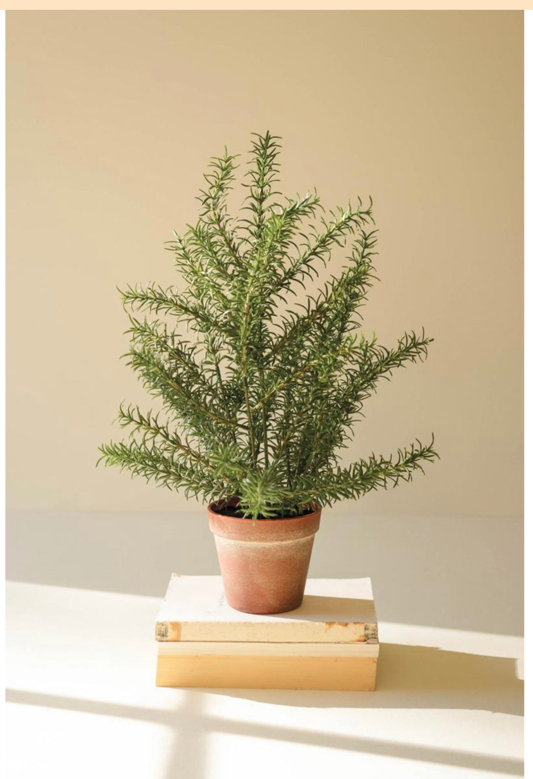 Faux Rosemary Potted Plant