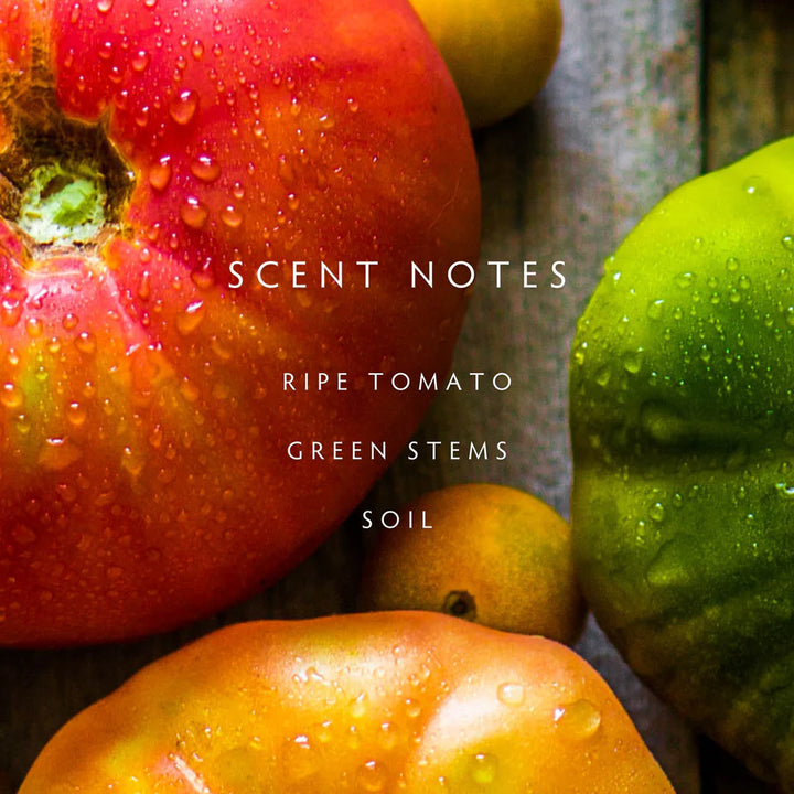 Heirloom Tomato 2-Wick Candle