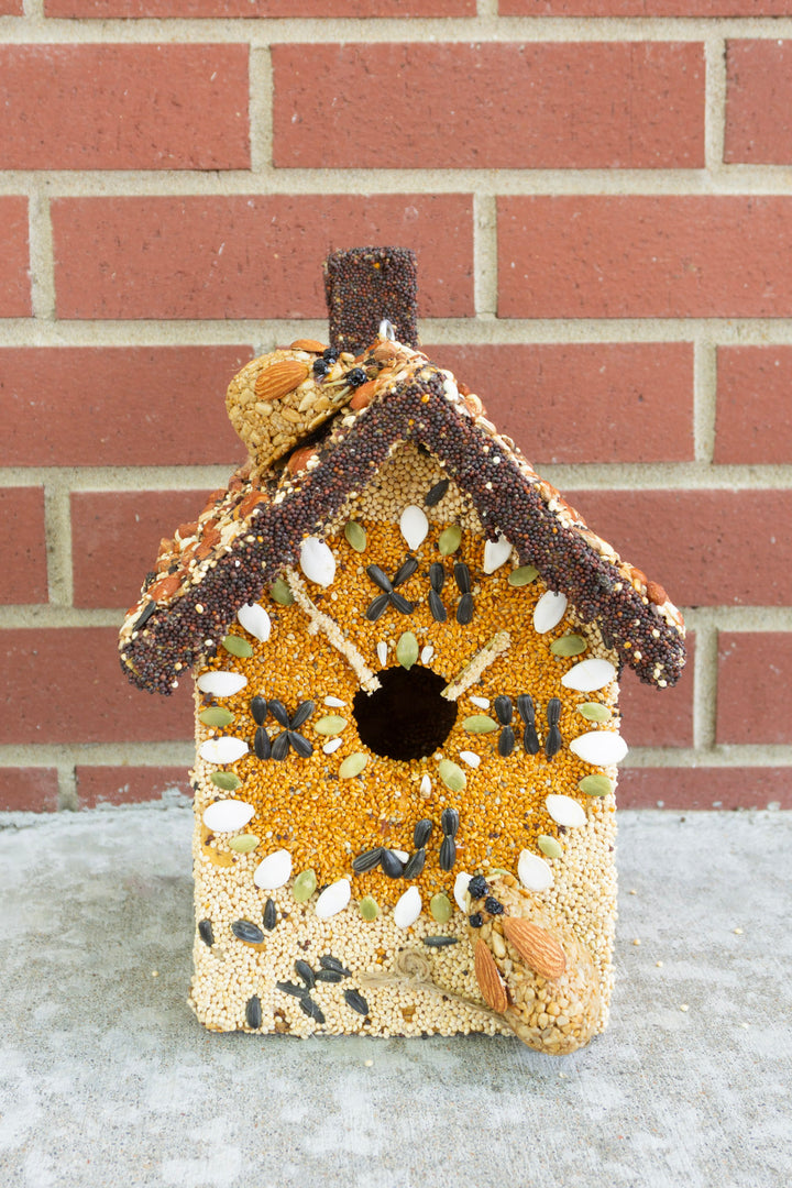 Hickory Dickory Dock Birdseed House
