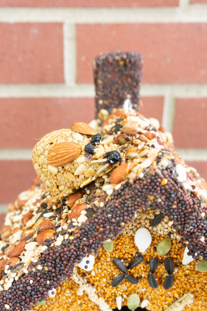 Hickory Dickory Dock Birdseed House