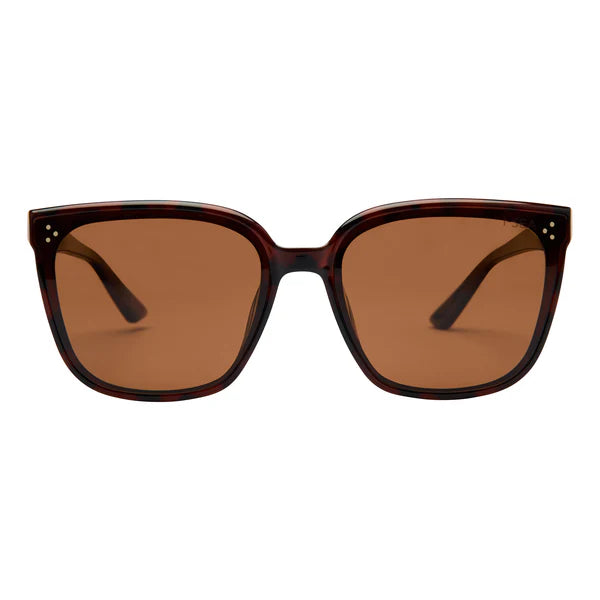 Madi Polarized Lens