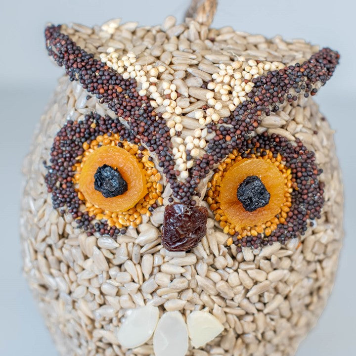 Owl Birdseed Hanger