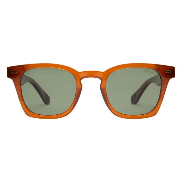 Palmer Polarized Lens