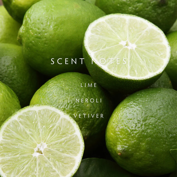 Persian Lime 2-Wick Candle