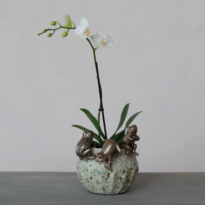 Frog Pot Hanger