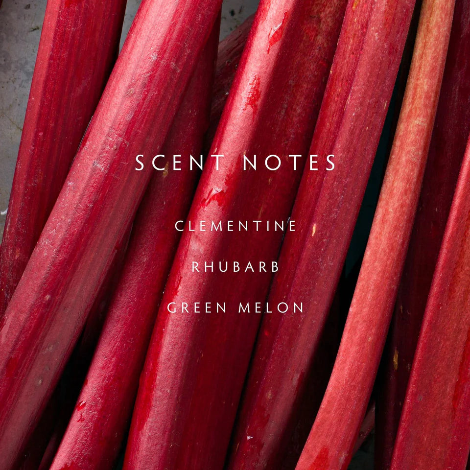 Rhubarb 2-Wick Candle