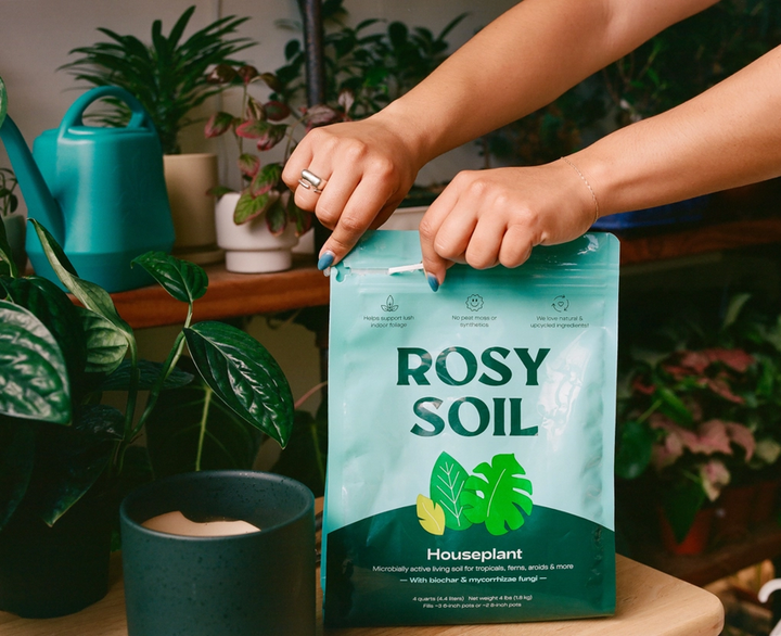 Rosy Soil for Houseplants