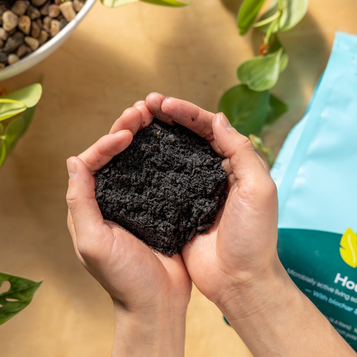 Rosy Soil for Houseplants