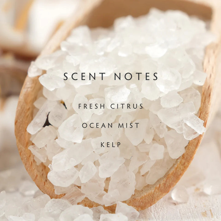 Sea Salt 2-Wick Candle