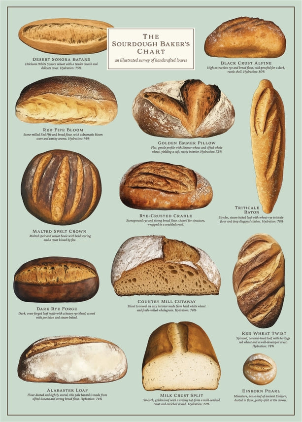 The Sourdough Baker's Puzzle