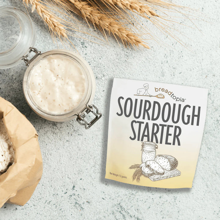 Sourdough Starter