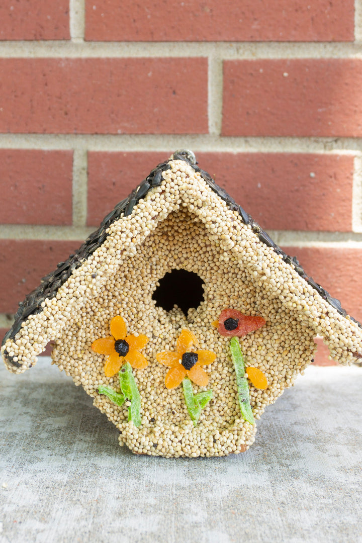 Spring Castia Bird Seed House