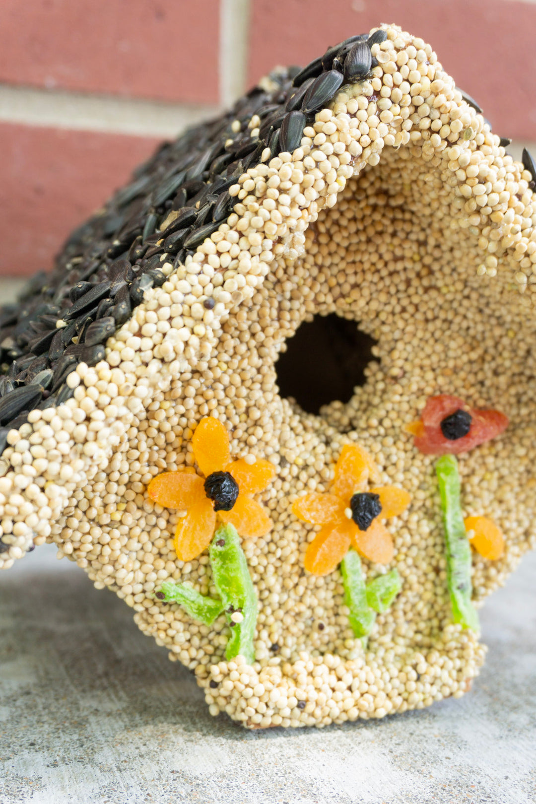 Spring Castia Bird Seed House