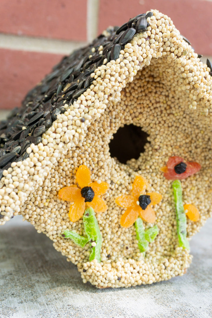 Spring Castia Bird Seed House