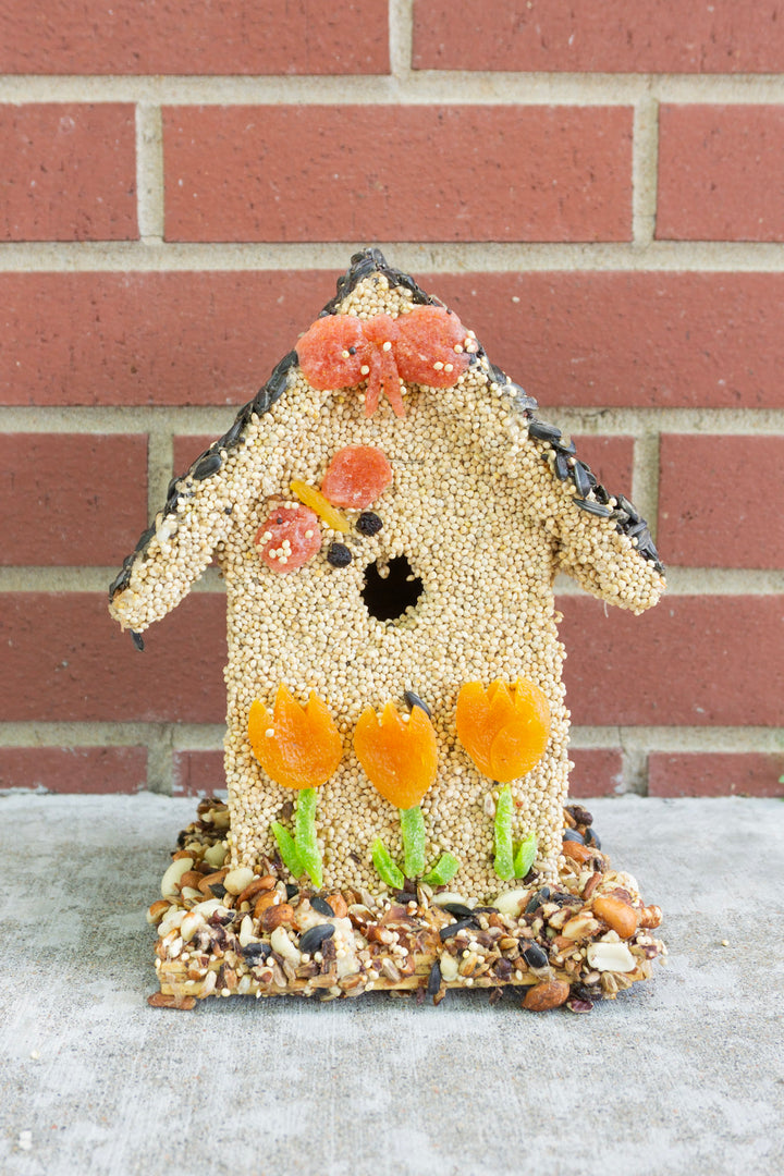 Spring Fruit B&B