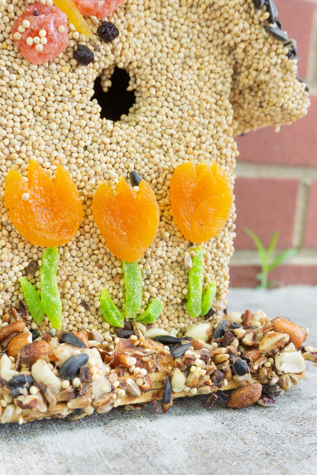 Spring Fruit B&B