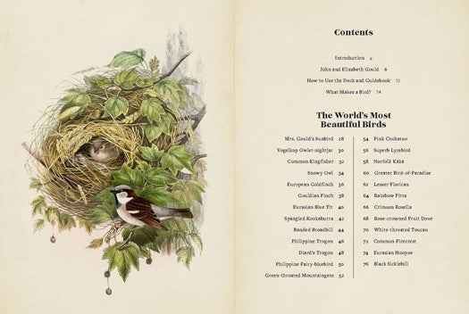 Vintage Birds