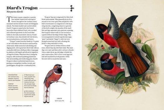 Vintage Birds