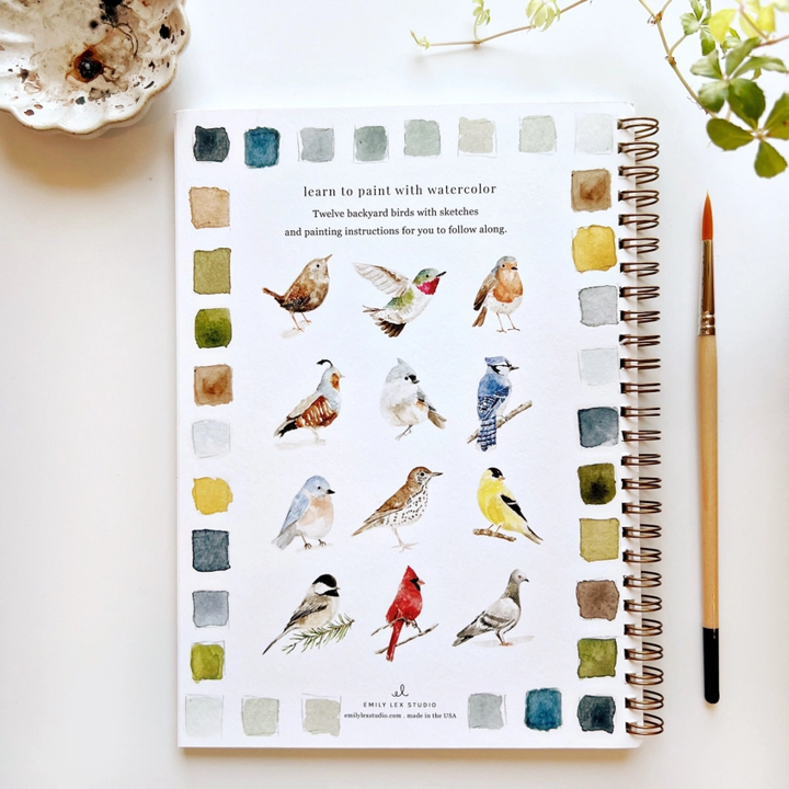 Bird Watercolor Workbook