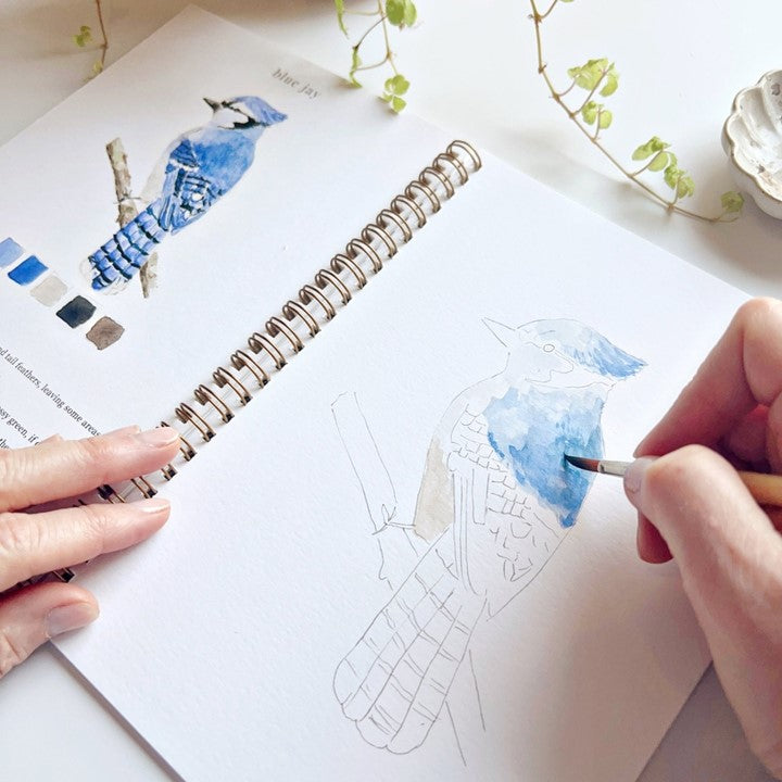 Bird Watercolor Workbook