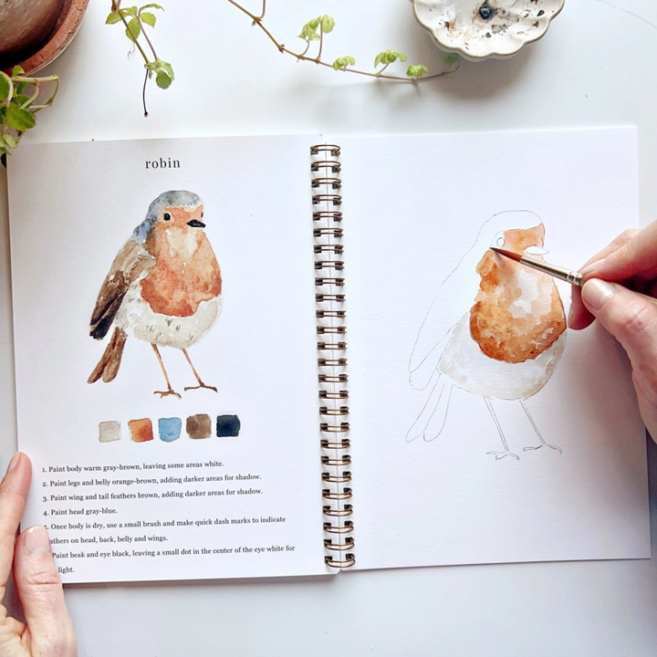Bird Watercolor Workbook